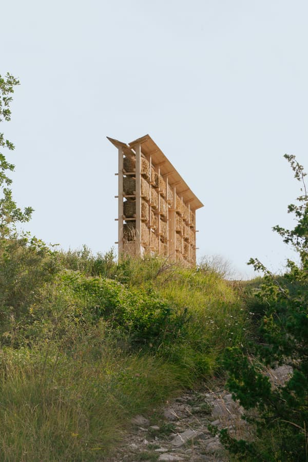 Architectural project - Design