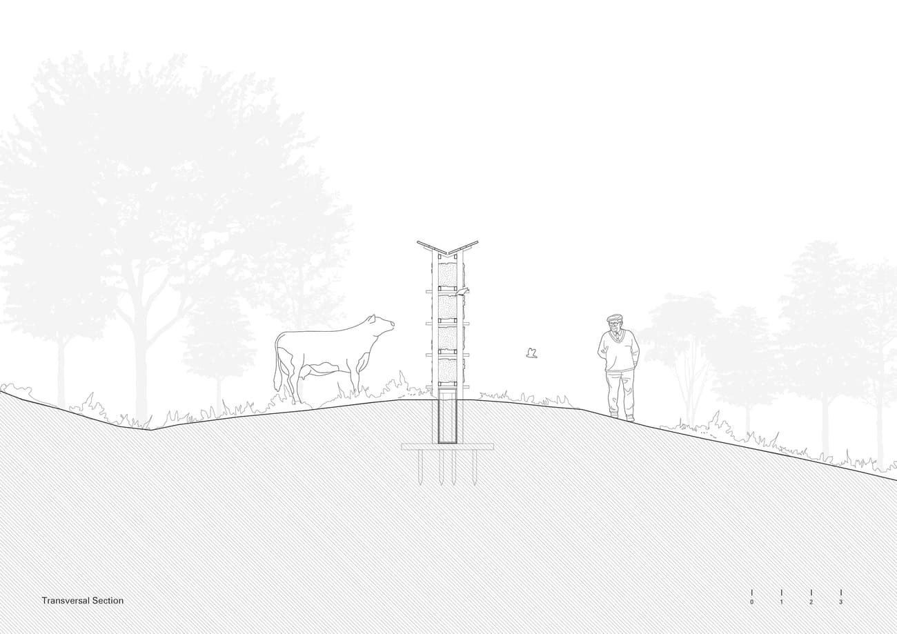 Architectural project - Design