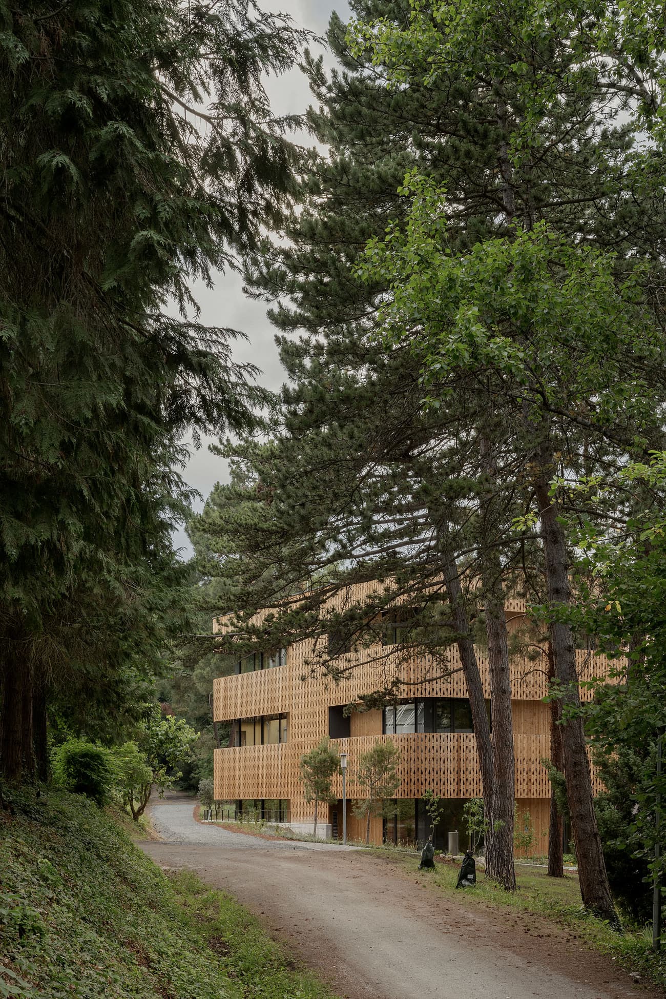 Architectural project - Design