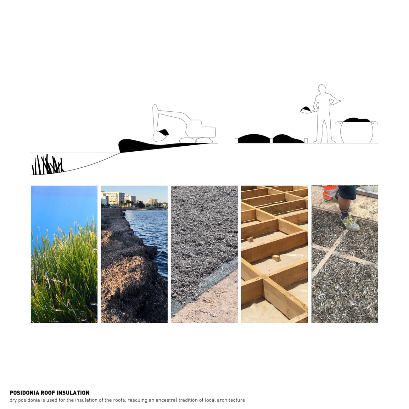 Architectural project - Design