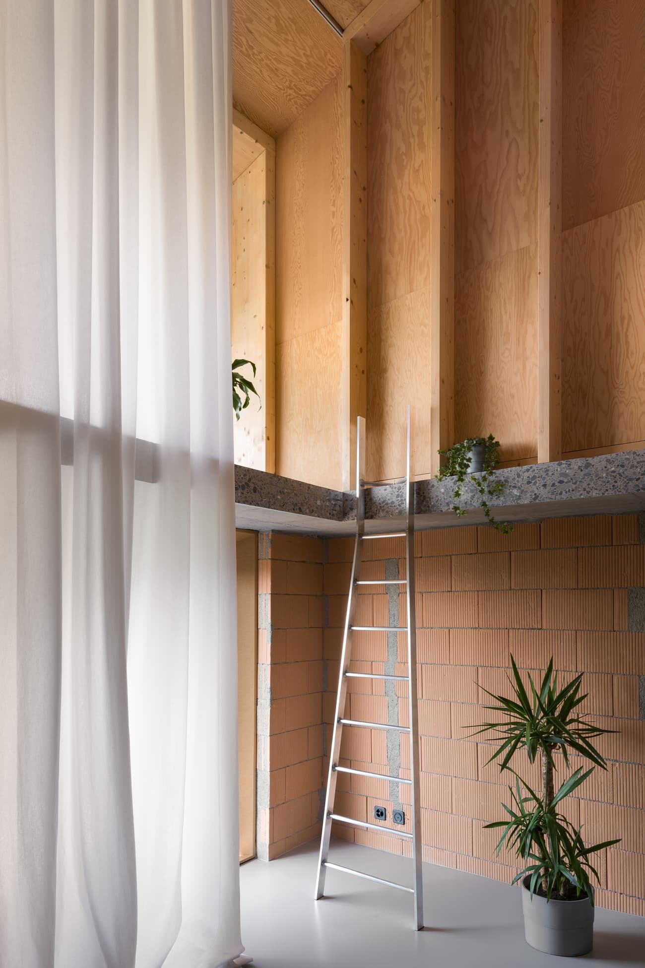 Architectural project - Design
