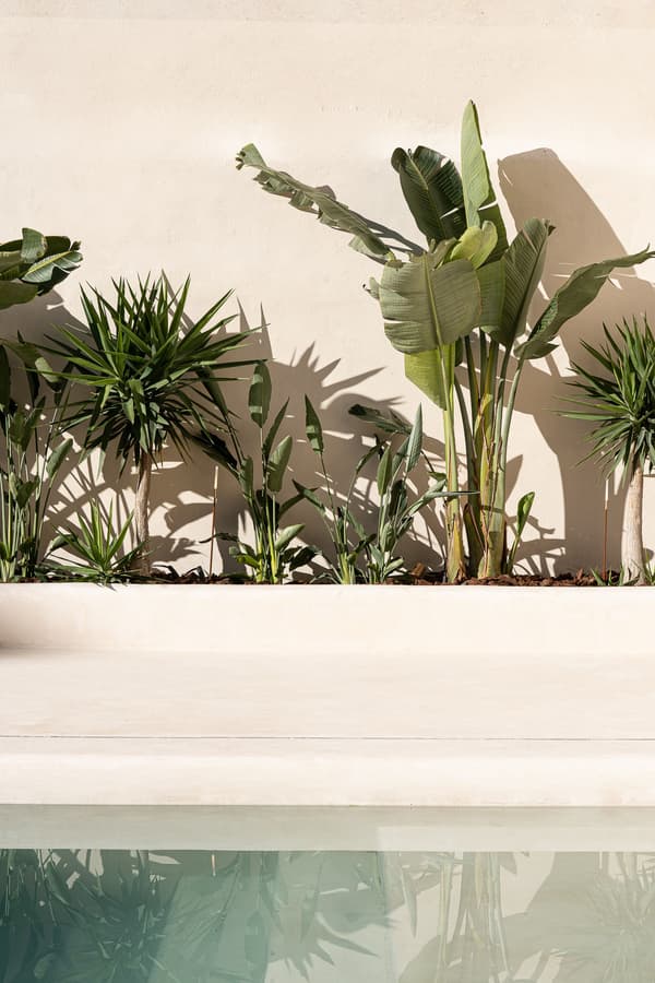Architectural project - modern landscape, lush plants, minimalist garden, natural elements, sunlit space, tropical plants, architectural plants, planter box, soft shadows, zen garden, modern garden, outdoor oasis, pool area, serene vibe, eco-friendly design, warm tones, outdoor area, green, neutral tones, beige, light tones, biophilic design, clean lines, nature-inspired, Mediterranean style, greenery, sleek design, calm atmosphere, spa-like, relaxation corner