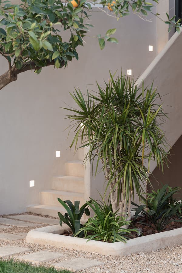 Architectural project - light stone, green oasis, minimalist garden, terracotta pots, tropical plants, peaceful garden, Mediterranean courtyard, stone path, sustainable garden, stucco walls, intimate space, outdoor space, natural light, outdoor living, eco design, neutral tones, daylight, concrete, minimalist design, plaster, beige tones, earthy tones, warm atmosphere, terracotta, nature escape, serene setting, stone steps, plaster walls, garden path, lush greenery, residential garden, outdoor retreat, home garden, private garden, courtyard, natural garden, tranquility