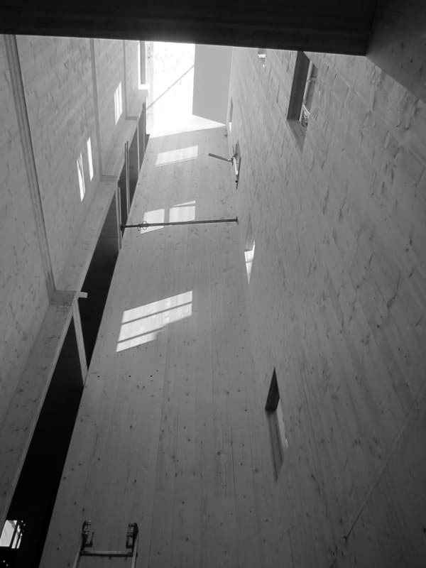 Architectural project - warm interior, light play, sustainable materials, wood, timber, raw materials, natural light, natural tones, eco design, contemporary architecture, daylight, beige, concrete, structural design, light wood, serene atmosphere, industrial touch, neutral palette, minimalist design, timber walls, timber cladding, wood cladding, modern architecture, Nordic style, wood walls, textured wood, open plan, inviting space, Scandinavian design, modern interior, atrium, vertical space, light shaft, concrete accents, high ceiling, vertical openings, slit windows, architectural geometry, lofty space, double height, shadow patterns, earthy vibes, structural rhythm, architectural feature