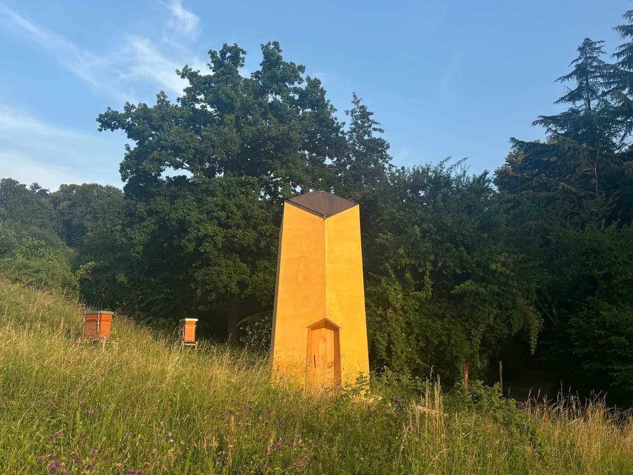 Architectural project - scenic backdrop, vibrant exterior, architectural statement, yellow facade, secluded structure, vertical design, lookout point, observation tower, contrasting landscape, field location, wild nature, unique building, biophilic touch, serene architecture, outdoor experience, isolated structure, timber details, natural materials, eco-friendly design, sustainable materials, timber, passive design, eco-conscious, yellow, sustainable architecture, green, landscape architecture, rural architecture, rustic vibe, peaceful setting, minimalist structure, modern rustic, harmonious design, countryside view, warm colors, nature-inspired, natural aesthetics, environmental design, countryside building, nature integration, landscape blending, green surroundings, simple lines, nature setting, timber door