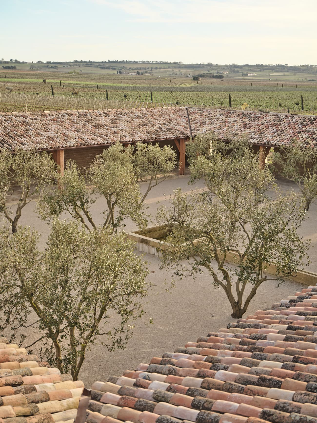 Architectural project - stone walls, tiled roof, landscaping, terracotta roof, olive trees, vineyard, sustainable agriculture, winery design, heritage site, vineyard view, farm vibe, agriculture space, farmstead, stone paving, serene vibe, natural materials, outdoor space, Mediterranean influence, outdoor living, eco friendly, rural architecture, organic design, rustic charm, passive cooling, tranquil setting, natural landscape, rammed earth, low carbon, earth tones, simple elegance, rustic style, open layout, earthy tones, pitched roof, warm colors, traditional design, Mediterranean style, cozy atmosphere, rural setting, green design, countryside house, country living, courtyard, clay tiles, warm palette