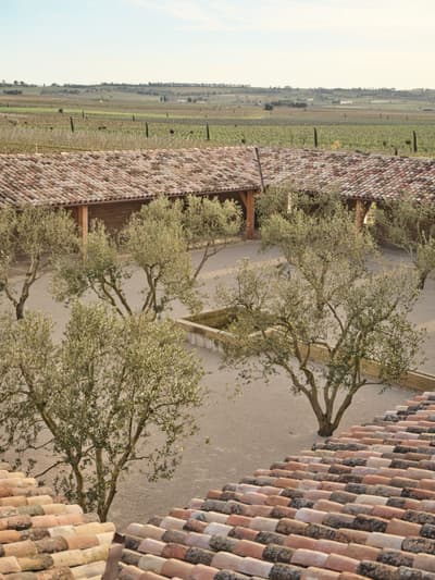 Architectural project - stone walls, tiled roof, landscaping, terracotta roof, olive trees, vineyard, sustainable agriculture, winery design, heritage site, vineyard view, farm vibe, agriculture space, farmstead, stone paving, serene vibe, natural materials, outdoor space, Mediterranean influence, outdoor living, eco friendly, rural architecture, organic design, rustic charm, passive cooling, tranquil setting, natural landscape, rammed earth, low carbon, earth tones, simple elegance, rustic style, open layout, earthy tones, pitched roof, warm colors, traditional design, Mediterranean style, cozy atmosphere, rural setting, green design, countryside house, country living, courtyard, clay tiles, warm palette