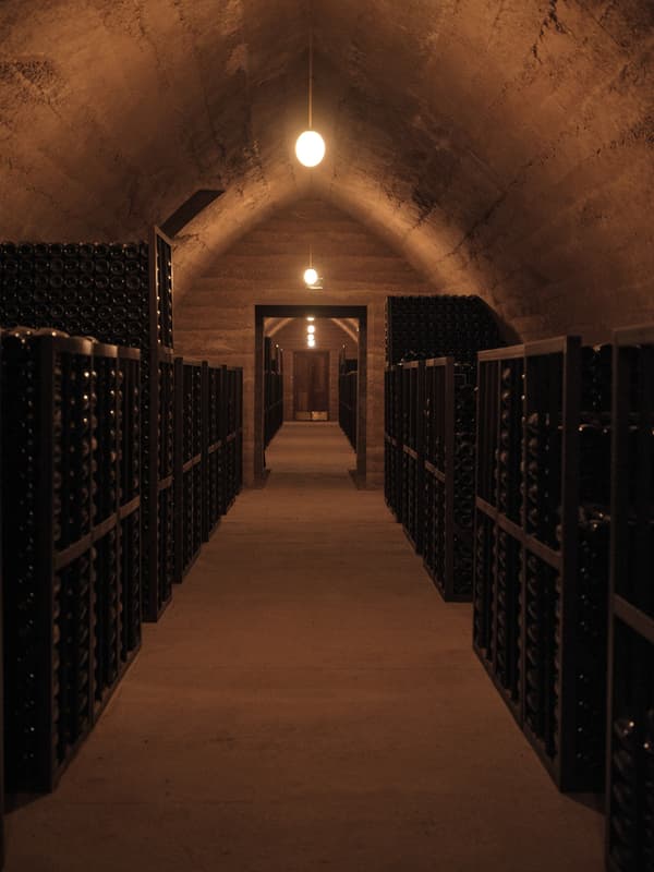 Architectural project - symmetrical layout, ambient light, vintage vibe, muted colors, intimate atmosphere, wine cellar, underground cellar, wine storage, rustic cellar, storage space, dim lighting, quiet space, secluded space, bottle storage, classic design, dark cellar, arched roof, brick ceiling, wine rack, perspective view, wine room, cellar corridor, classic style, sustainable storage, low light space, warm interior, natural materials, tranquil space, eco-friendly design, wood, timber, raw materials, warm tones, beige, brown, functional design, rustic charm, cozy space, stone, beige tones, wood shelves, timber shelves, earthy tones, traditional design, brick, warm light, stone floor, concrete floor, brown tones, shelving, vaulted ceiling
