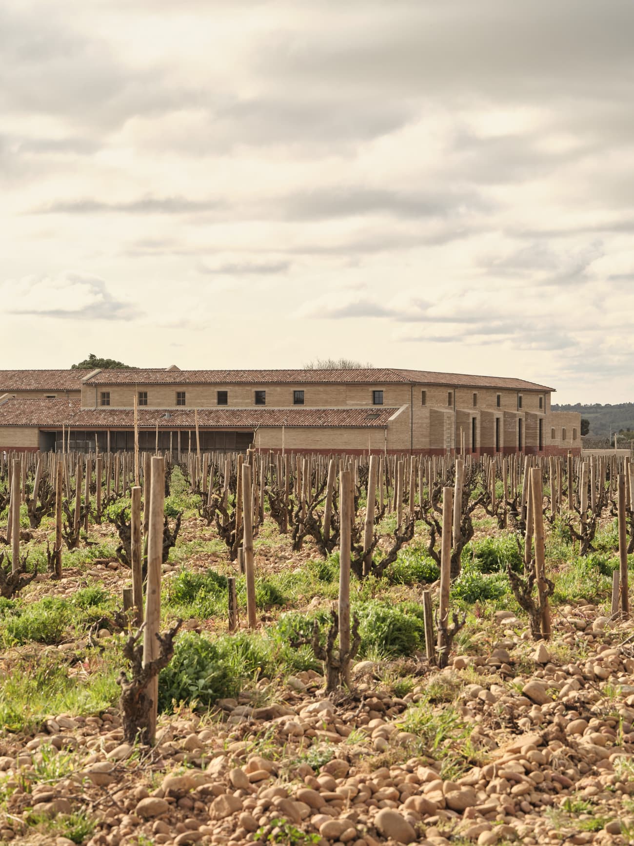 Architectural project - rural landscape, open sky, tiled roof, agricultural building, terracotta roof, rustic scenery, tranquil landscape, nature, wine production, vineyard, winery, farm setting, farm architecture, stone building, rustic environment, vine rows, agriculture, vines, green fields, organic farming, eco-friendly agriculture, sustainable farming, traditional farming, vineyard view, agricultural design, rural vista, country style, serene environment, outdoor space, outdoor living, sustainable design, warm tones, green, landscape architecture, beige, brown, natural setting, rustic vibe, earth tones, scenic view, traditional design, rustic facade, countryside, landscape design, heritage building, pastoral scene, country living