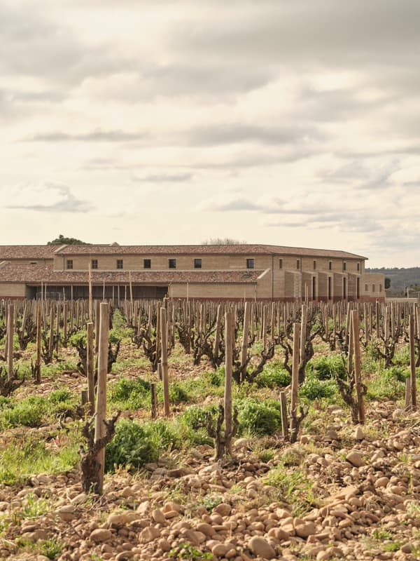 Architectural project - rural landscape, open sky, tiled roof, agricultural building, terracotta roof, rustic scenery, tranquil landscape, nature, wine production, vineyard, winery, farm setting, farm architecture, stone building, rustic environment, vine rows, agriculture, vines, green fields, organic farming, eco-friendly agriculture, sustainable farming, traditional farming, vineyard view, agricultural design, rural vista, country style, serene environment, outdoor space, outdoor living, sustainable design, warm tones, green, landscape architecture, beige, brown, natural setting, rustic vibe, earth tones, scenic view, traditional design, rustic facade, countryside, landscape design, heritage building, pastoral scene, country living