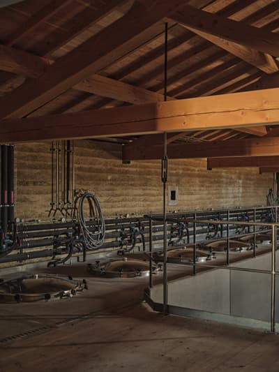 Architectural project - industrial interior, work space, rammed earth walls, agricultural building, oak barrels, wine storage, dim lighting, wine production, winery, farm architecture, vineyard design, fermentation tanks, architectural steel, metal pipes, rustic industrial, production area, artisan design, cellar, underground vibe, polished concrete floor, natural materials, sustainable design, grey, exposed beams, functional space, industrial vibe, beige, brown, engineered wood, eco friendly, rural architecture, timber beams, neutral palette, earth tones, modern rustic, natural ventilation, earthy tones, warm atmosphere, craftmanship, textured walls, barn style, wood ceiling, warm lighting