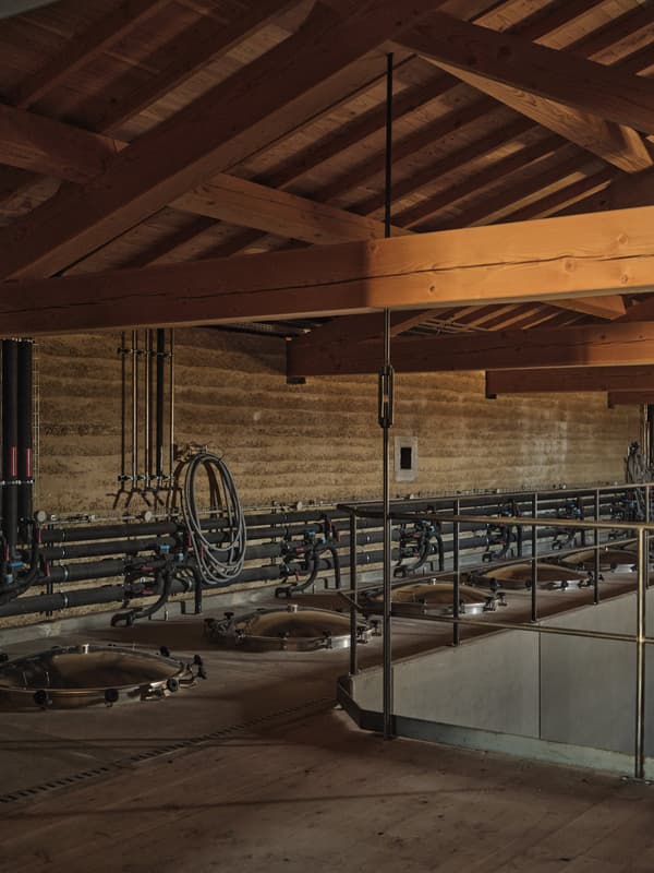 Architectural project - industrial interior, work space, rammed earth walls, agricultural building, oak barrels, wine storage, dim lighting, wine production, winery, farm architecture, vineyard design, fermentation tanks, architectural steel, metal pipes, rustic industrial, production area, artisan design, cellar, underground vibe, polished concrete floor, natural materials, sustainable design, grey, exposed beams, functional space, industrial vibe, beige, brown, engineered wood, eco friendly, rural architecture, timber beams, neutral palette, earth tones, modern rustic, natural ventilation, earthy tones, warm atmosphere, craftmanship, textured walls, barn style, wood ceiling, warm lighting