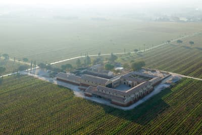Architectural project - stone facade, rural landscape, brickwork, agricultural building, outdoor environment, terracotta roof, regional architecture, wine production, vineyard, winery, agricultural setting, vineyard estate, winery complex, vineyard facility, scenic location, open field, farm land, vineyard rows, eco farming, sustainable agriculture, scenic design, pastoral setting, traditional materials, agrarian design, spacious exterior, agricultural typology, rural aesthetics, outdoor space, landscape architecture, rural architecture, rustic vibe, rustic charm, serene atmosphere, sustainable building, earth tones, natural colors, stonework, pitched roof, countryside architecture, traditional design, brick facade, heritage building, natural environment, gable roof, heritage architecture, aerial view, calm setting, countryside setting, clay tiles, farm style, expansive view