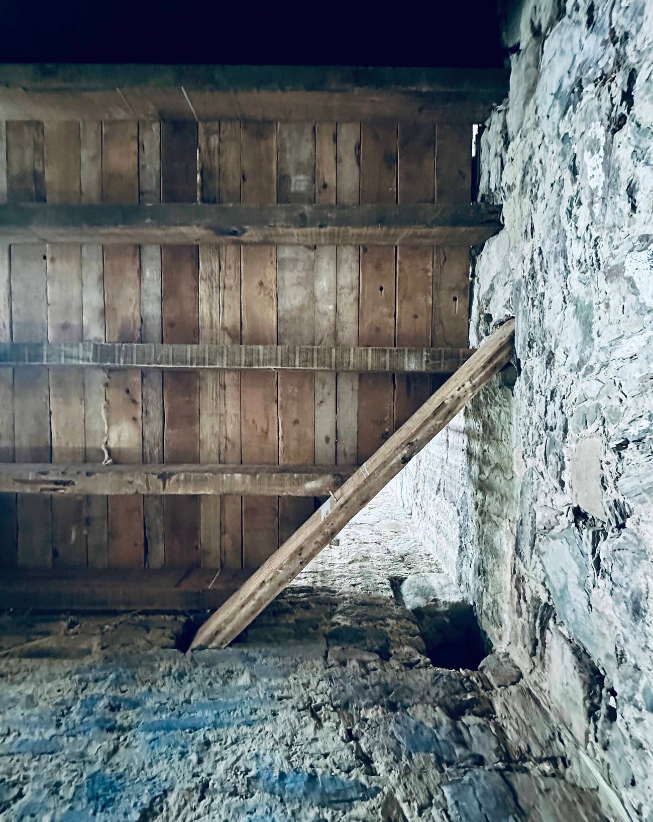 Architectural project - beige stone, unfinished look, textured stone, rustic interior, vintage vibe, natural design, reclaimed wood, heritage style, aged wood, historic charm, natural materials, timber, raw materials, grey tones, simple structure, neutral tones, wooden beams, timber beams, weathered wood, rustic charm, eco-friendly materials, rustic finish, timber ceiling, warm ambiance, rustic warmth, rustic style, traditional architecture, exposed rafters, traditional design, stone wall, cozy atmosphere, rustic architecture, barn style, earthy textures, stone texture