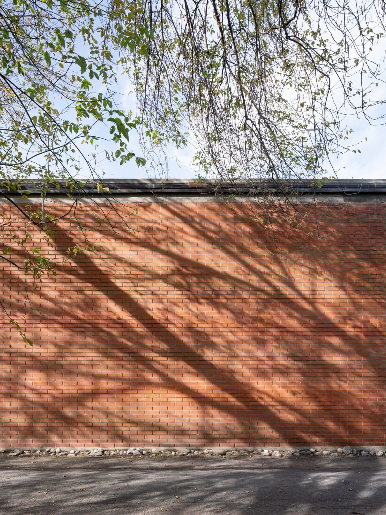 Architectural project - design element, raw aesthetic, brick wall, exposed brick, orange brick, textured brickwork, natural shadows, linear texture, tree shadow, outdoor facade, eco friendly facade, minimalist, urban setting, outdoor space, natural light, shadow play, passive design, sustainable design, warm tones, brown, exterior design, geometric pattern, exterior wall, industrial style, daylight optimization, facade detail, contemporary design, neutral palette, minimalist design, exterior, orange, textured surface, modern facade, architectural simplicity, simple elegance, earthy tones, brick facade, urban architecture, building envelope, sleek finish, structural rhythm, architectural feature, urban backdrop