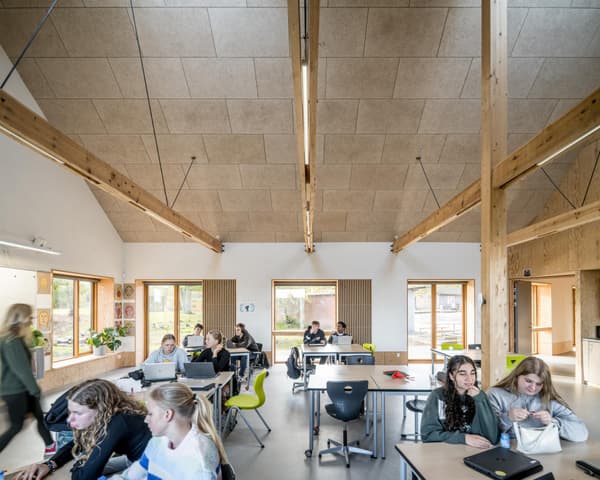 Architectural project - collaborative space, flexible layout, wooden desk, green chairs, indoor environment, classroom, educational, modern classroom, cork, warm interior, wood, timber, natural light, inviting atmosphere, passive design, sustainable design, warm tones, community space, neutral tones, functional space, daylight, beige, light wood, eco friendly, modern design, timber beams, Scandinavian style, eco materials, relaxed atmosphere, multifunctional, timber panels, wood panels, biophilic design, Nordic design, energy efficient, airy space, open plan, eco architecture, bright interior, wooden accents, learning space, educational building, educational interior, wood interior
