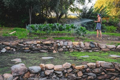 Architectural project - eco-friendly living, outdoor lifestyle, garden architecture, edible garden, garden maintenance, outdoor recreation, rustic garden, eco garden, peaceful garden, lush foliage, stone path, backyard garden, sustainable garden, tranquil space, outdoor space, natural landscape, stone wall, nature connection, rural setting, landscape design, sunny day, countryside living, garden path, home garden, green space, sustainable living, green plants