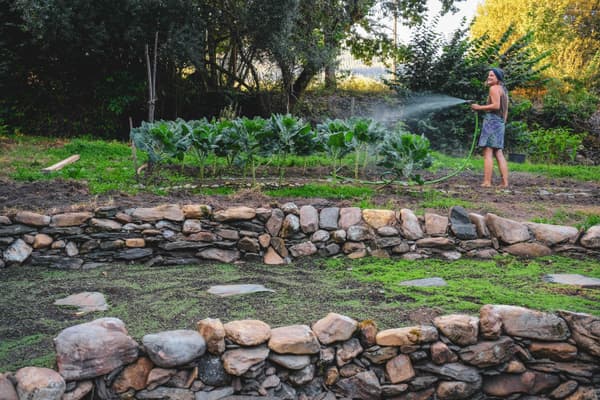 Architectural project - eco-friendly living, outdoor lifestyle, garden architecture, edible garden, garden maintenance, outdoor recreation, rustic garden, eco garden, peaceful garden, lush foliage, stone path, backyard garden, sustainable garden, tranquil space, outdoor space, natural landscape, stone wall, nature connection, rural setting, landscape design, sunny day, countryside living, garden path, home garden, green space, sustainable living, green plants