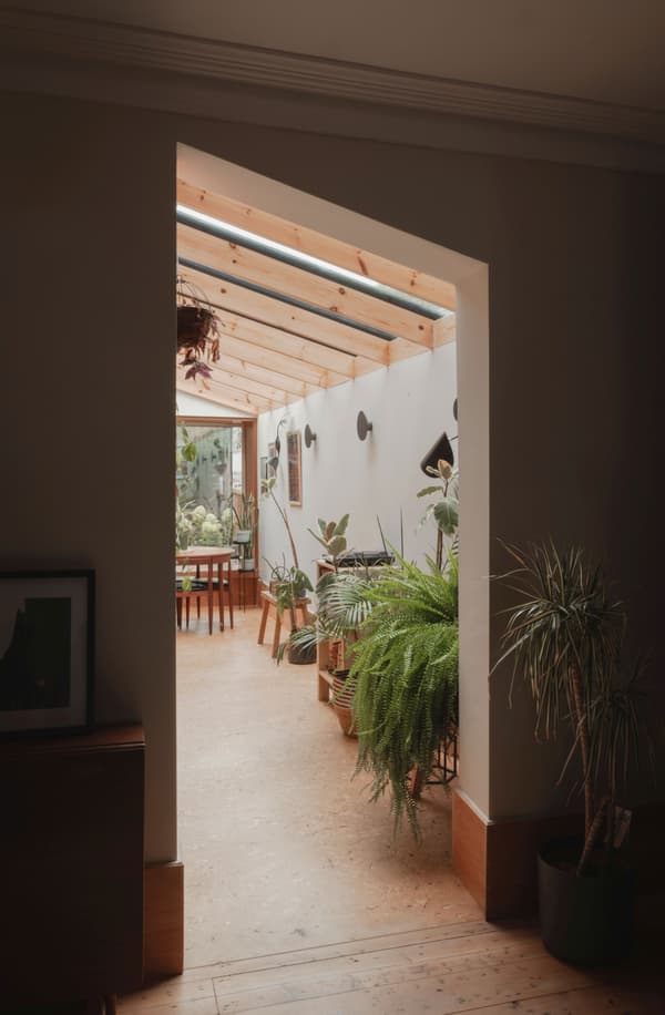 Architectural project - lush plants, indoor garden, plant-filled, houseplants, airy room, bohemian touch, warm space, cork, comfortable corner, garden room, wood, timber, relaxed vibe, natural light, warm tones, natural tones, eco design, green, exposed beams, daylight, wooden ceiling, brown, eco friendly, soothing atmosphere, timber floor, wooden floor, tranquil setting, biophilic design, sustainable home, natural ventilation, light filled, white, timber ceiling, earthy tones, greenery, bright interior, lounge area, home garden, cozy home, welcoming space, casual elegance, skylight, spacious feel, indoor plants