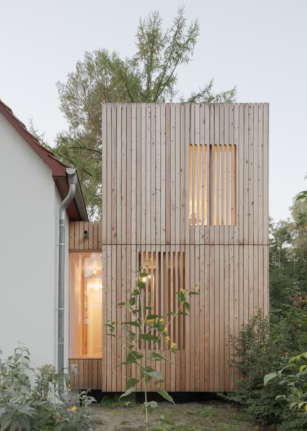 Architectural project - architectural statement, modern extension, wood extension, residential extension, wood building, house extension, architectural addition, seamless blend, clear lines, wood, timber, natural light, sustainable design, glass, warm tones, grey, neutral tones, daylight, beige, wood facade, timber facade, light wood, natural setting, contemporary design, timber panels, timber architecture, biophilic design, clean lines, timber cladding, nature-inspired, environmental design, outdoor connection, nature integration, forest house, eco architecture, wooden panels, minimalist exterior, modern style, green surroundings, vertical cladding, vertical slats, unique design