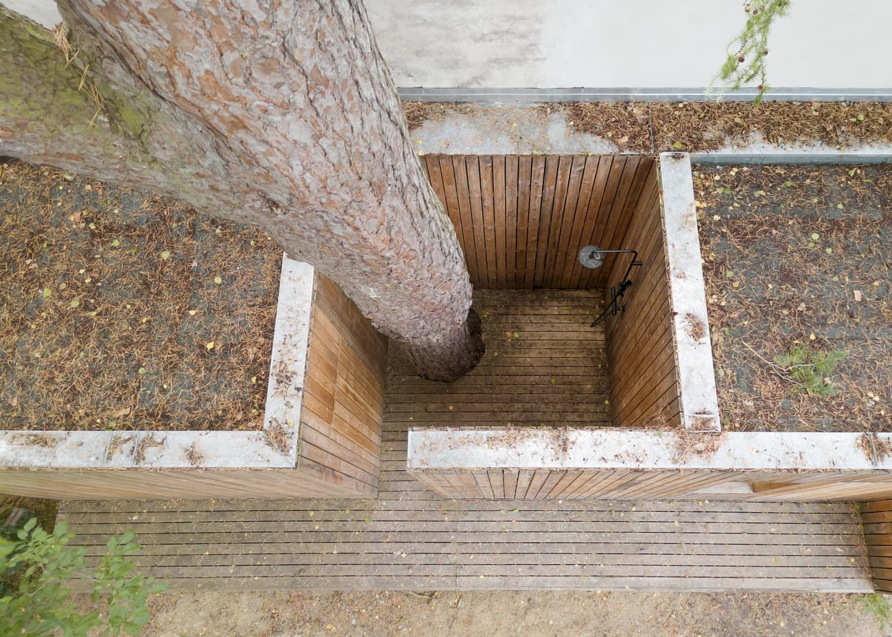 Architectural project - harmony with nature, garden architecture, modern landscape, sustainable landscape, tree well, courtyard design, wooden enclosure, vertical planks, wooden barrier, eco space, environmental focus, planter box, pine tree, wood, timber, outdoor shower, outdoor living, natural tones, eco design, timber planks, landscape architecture, beige, outdoor structure, peaceful setting, Scandinavian style, calming space, minimalist design, raw wood, natural finish, exposed wood, green architecture, natural material, biophilic design, textured surface, timber cladding, earthy vibe, rustic style, earthy tones, warm atmosphere, organic architecture, garden feature, garden design, nature integration, wooden deck, outdoor retreat, minimalism