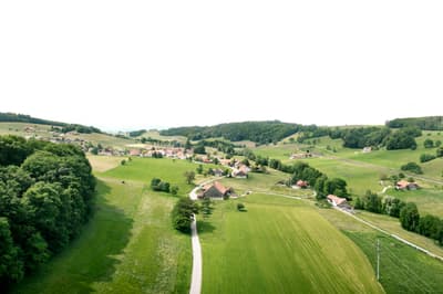 Architectural project - pastoral view, rolling hills, rural landscape, sustainable landscape, rustic setting, natural scenery, serene, peaceful, light green, nature, green fields, agricultural landscape, lush landscape, vegetation, tranquil, village scene, rural homes, scenic beauty, horizon, farmland, green, brown, eco friendly, outdoor, earth tones, open landscape, scenic view, green living, natural colors, countryside view, panoramic view, nature-inspired, greenery, natural environment, aerial view, trees