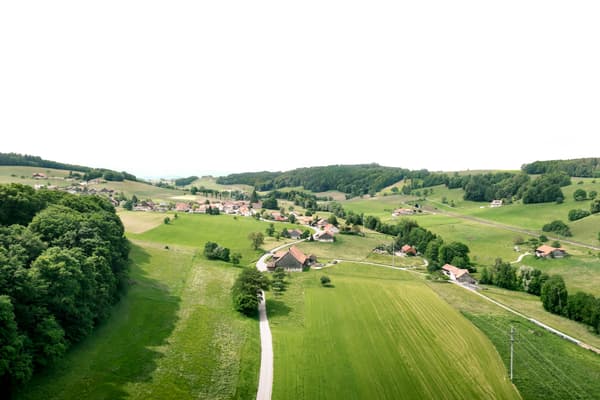 Architectural project - pastoral view, rolling hills, rural landscape, sustainable landscape, rustic setting, natural scenery, serene, peaceful, light green, nature, green fields, agricultural landscape, lush landscape, vegetation, tranquil, village scene, rural homes, scenic beauty, horizon, farmland, green, brown, eco friendly, outdoor, earth tones, open landscape, scenic view, green living, natural colors, countryside view, panoramic view, nature-inspired, greenery, natural environment, aerial view, trees