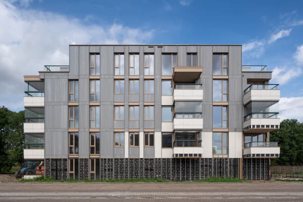 Architectural project - multi-story building, vertical lines, floor to ceiling windows, silver, metal facade, aluminum cladding, light grey, cubic form, multi-family housing, city living, warm tones, natural tones, modular design, contemporary architecture, urban landscape, urban development, beige, exterior design, minimalist design, eco-friendly materials, geometric design, modern aesthetics, passive house, natural ventilation, modern facade, clean lines, large windows, timber cladding, outdoor view, energy efficient, wood accents, eco architecture, sleek design, compact living, facade design, architectural rhythm, sustainable living, apartment building, residential block, stylish exterior, urban living