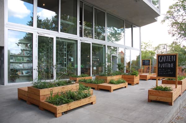 Architectural project - sustainability, terrace, concrete structure, sustainable space, natural elements, grey concrete, eco-friendly design, wood, timber, natural light, inviting atmosphere, outdoor living, glass, natural tones, eco design, grey, green, neutral tones, daylight, gathering space, concrete, light wood, urban oasis, contemporary design, casual setting, minimalist style, neutral colors, eco materials, outdoor cafe, social space, exterior, outdoor seating, biophilic design, modern facade, clean lines, indoor outdoor, modern architecture, open layout, dining area, alfresco dining, greenery, garden view, green design, seamless transition, urban garden, glass facade, versatile space