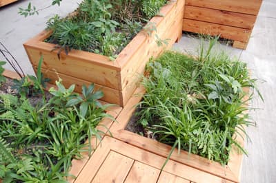Architectural project - city garden, garden decor, landscaping, planter box, small garden, backyard garden, garden plants, minimal design, natural materials, sustainable materials, wood, timber, outdoor space, sustainable design, modular design, green, beige, eco friendly, urban oasis, natural textures, raw wood, rustic style, earthy tones, garden feature, greenery, green design, urban garden, terrace garden, natural look