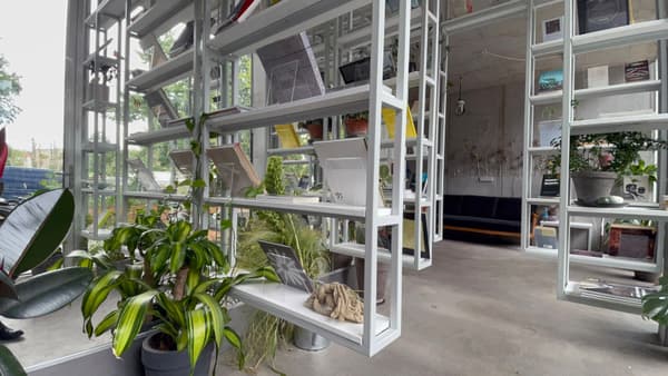 Architectural project - urban greenery, light-filled space, exposed concrete, flexible space, industrial interior, loft style, collaborative space, modern workspace, creative studio, airy interior, white frame, plant decor, workspace inspiration, minimalist furniture, urban jungle, eco-friendly design, metal, natural light, glass, natural tones, grey, green, daylight, concrete, multifunctional space, contemporary design, neutral palette, modern aesthetics, industrial chic, biophilic design, white, open plan, greenery, concrete floor, open space, airy atmosphere, glass facade, shelving unit, glass wall, indoor plants, urban vibe