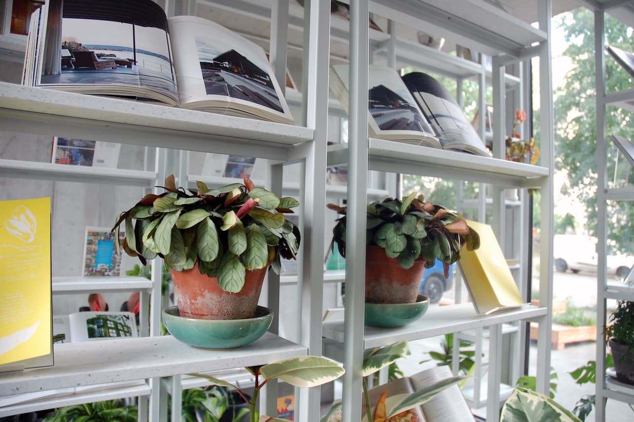 Architectural project - light grey, indoor garden, potted plants, terracotta pots, lush foliage, bookshelf, modern shelving, natural light, inviting atmosphere, neutral tones, daylight, eco friendly, contemporary design, casual space, light filled, indoor outdoor, cozy vibe, open shelves, greenery, garden view, reading nook, home library, airy feel, minimalist shelving, glass wall, indoor plants, urban interior