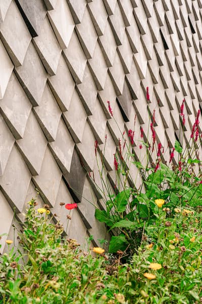 Architectural project - urban greenery, facade, stone cladding, native plants, dynamic surface, cladding, outdoor wall, plants, landscaped garden, lush landscape, vibrant flowers, natural materials, architectural detail, raw materials, organic texture, passive design, sustainable design, green building, sustainable architecture, grey, light and shadow, exterior design, eco friendly, contemporary design, biophilic design, modern facade, textured wall, stone, nature-inspired, environmental design, garden design, greenery, geometric facade, visual interest, modern exterior, urban garden, architectural rhythm, wildflowers, eco facade, vertical garden, pattern play