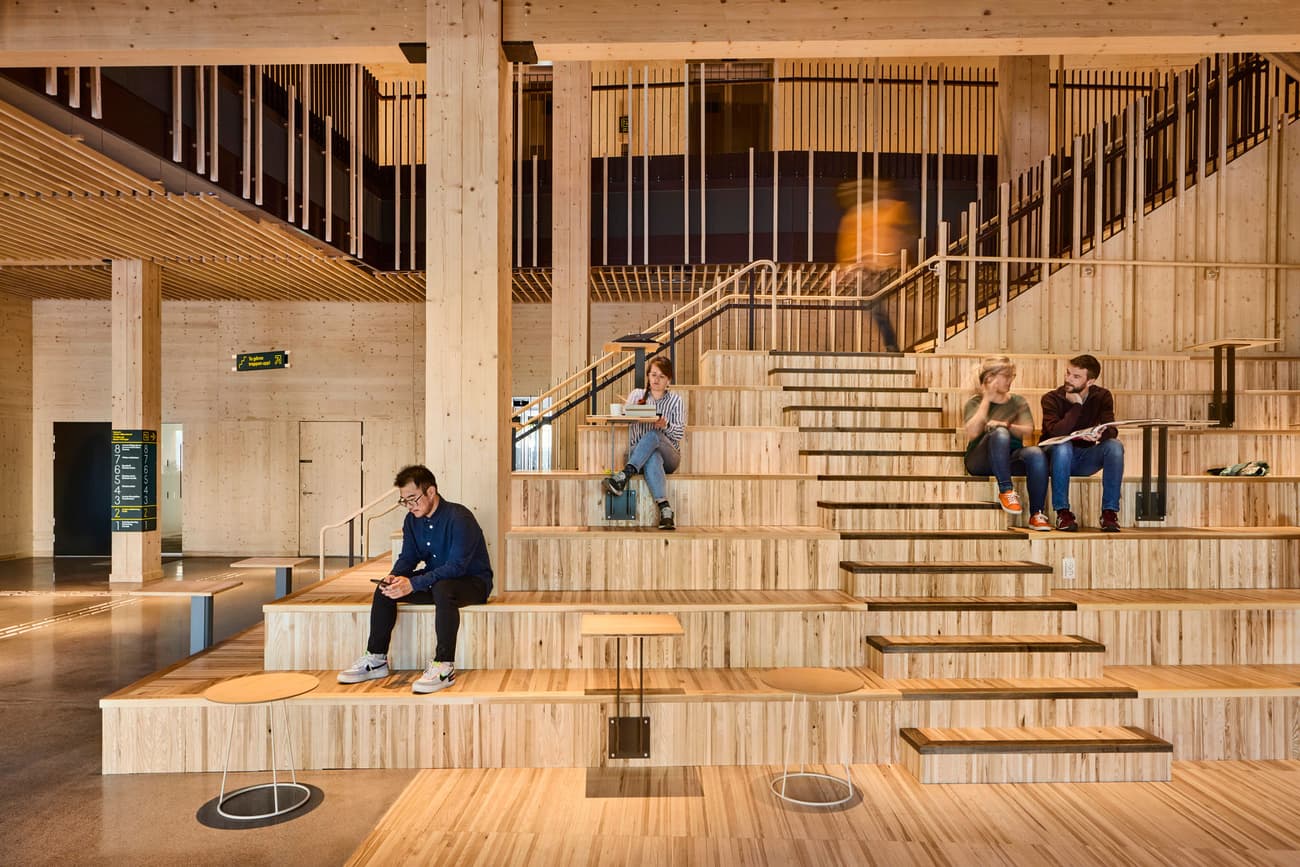Architectural project - community gathering, wooden steps, wood building, carbon neutral, stepped seating, wood seating, large space, timber seating, warm interior, natural materials, wood, timber, natural light, sustainable design, warm tones, neutral tones, timber structure, exposed beams, daylight, plywood, open area, gathering space, beige, light wood, natural wood, engineered wood, multifunctional space, eco friendly, honey wood, timber beams, natural textures, contemporary design, light brown, neutral palette, casual seating, social space, relaxed atmosphere, informal setting, public space, event space, cozy space, timber panels, wood panels, CLT, cross laminated timber, modern architecture, Nordic style, timber ceiling, open layout, open plan, inviting space, green design, Scandinavian design, wood ceiling, educational space