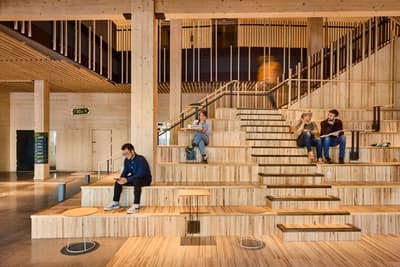 Architectural project - community gathering, wooden steps, wood building, carbon neutral, stepped seating, wood seating, large space, timber seating, warm interior, natural materials, wood, timber, natural light, sustainable design, warm tones, neutral tones, timber structure, exposed beams, daylight, plywood, open area, gathering space, beige, light wood, natural wood, engineered wood, multifunctional space, eco friendly, honey wood, timber beams, natural textures, contemporary design, light brown, neutral palette, casual seating, social space, relaxed atmosphere, informal setting, public space, event space, cozy space, timber panels, wood panels, CLT, cross laminated timber, modern architecture, Nordic style, timber ceiling, open layout, open plan, inviting space, green design, Scandinavian design, wood ceiling, educational space