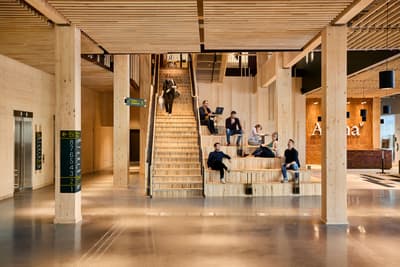 Architectural project - open ceiling, flexible space, collaborative space, polished floor, wooden steps, stepped seating, informal meeting, modern space, slatted ceiling, warm interior, indoor space, natural materials, wood, timber, natural light, inviting atmosphere, glass, warm tones, natural tones, eco design, sustainable architecture, concrete, light wood, honey wood, contemporary design, casual seating, social space, public space, gathering area, community center, social hub, wood panels, timber cladding, minimal aesthetic, Nordic design, timber interior, open plan, green design, Scandinavian design, wood ceiling, concrete floor, open space, interior design, educational space, learning environment, wood interior