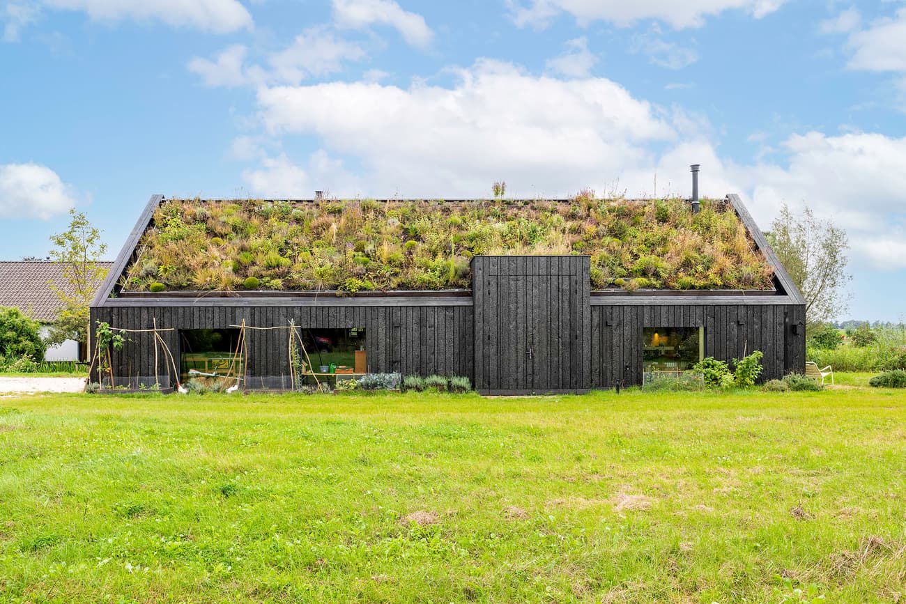 Architectural project - grass, modern barn, contemporary barn, rustic house, farmhouse, eco roof, grass roof, burnt wood, barn house, black barn, Scandinavian barn, burnt timber, Nordic barn, light wood interior, black facade, charcoal facade, eco friendly home

timber, natural materials, wood, sustainable design, warm tones, green, neutral tones, brown, wood facade, timber facade, functional design, simple design, minimalist architecture, cozy retreat, black, natural landscape, low carbon, biophilic design, passive house, energy efficient, rural living, organic materials, nature integration, green design, countryside living, eco architecture, countryside house, residential house, eco retreat, wooden structure, home design, green roof, living roof, neutral, rural retreat, charred wood, outdoor greenery