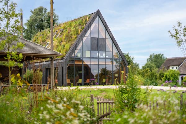 Architectural project - ecological home, grass, modern barn, light green, rustic house, warm retreat, countryside landscape, grass roof, natural materials, wood, timber frame, natural light, eco-conscious, sustainable design, glass, green, daylight, landscape architecture, eco friendly, rural architecture, organic design, minimalist style, cozy retreat, black, exterior, green architecture, biophilic design, open landscape, passive house, nature view, large windows, timber cladding, wood cladding, countryside home, energy efficient, natural colors, earthy tones, triangular roof, simple forms, rural setting, garden view, barn style, nature integration, eco house, eco retreat, wooden structure, low impact, wooden slats, glass facade, green roof, living roof, sustainable living, black wood