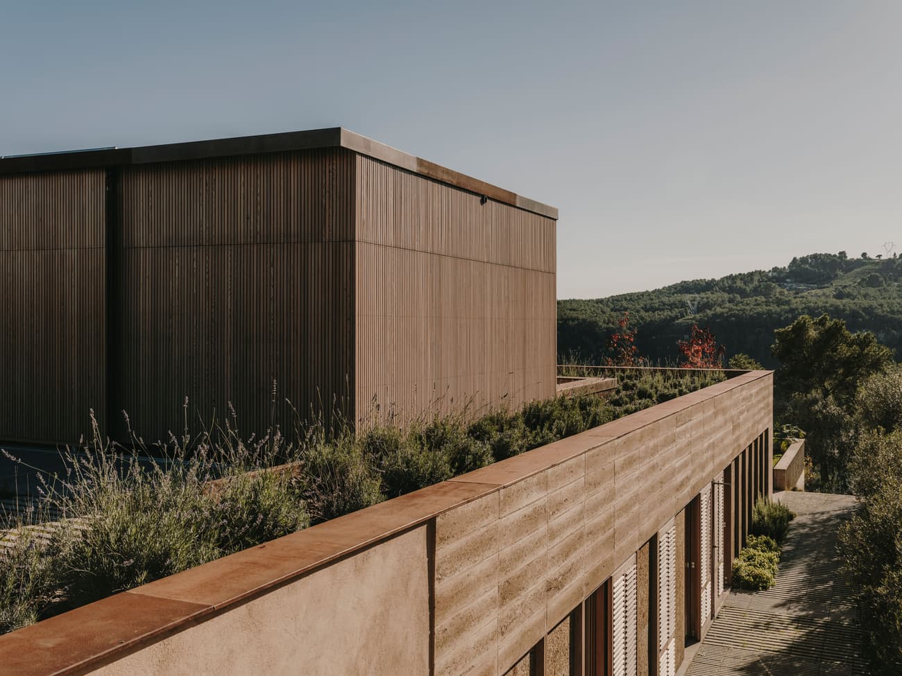 Architectural project - linear design, exterior facade, rooftop garden, terracotta tones, hillside building, hillside architecture, natural materials, wood, timber, outdoor space, passive design, sustainable design, warm tones, contemporary architecture, landscape architecture, beige, brown, wood facade, timber facade, exterior design, low carbon design, daylight optimization, natural setting, rural architecture, neutral palette, minimalist design, eco materials, eco building, sustainable building, rammed earth, earth tones, biophilic design, passive house, natural ventilation, nature view, landscape integration, timber cladding, wood cladding, modern architecture, energy efficient, earthy tones, nature-inspired, environmental design, terracotta, biophilic architecture, green design, earthy facade, green roof, contextual architecture, countryside setting, integrated landscape