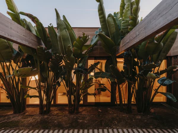 Architectural project - organic elements, evening glow, tropical garden, lush foliage, contemporary landscape, open plan transition, seamless flow, architectural plants, tropical style, serene ambiance, smooth transition, indoor-outdoor living, eco-friendly design, relaxation area, outdoor space, natural light, privacy screen, passive design, wooden beams, minimalist design, tranquil setting, structural wood, green architecture, biophilic design, sustainable home, natural ventilation, large windows, indoor outdoor, green living, inviting space, cozy atmosphere, garden view, peaceful vibe, modern home, earthy textures, residential garden, soft tones, modern exterior, warm lighting, glass facade, warm materials