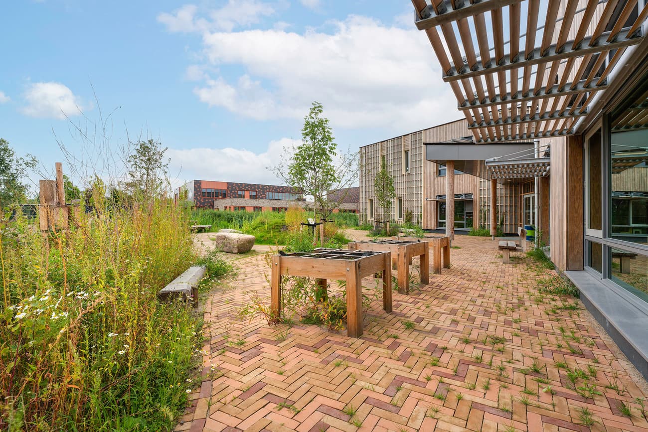 Architectural project - urban greenery, native plants, raised beds, low maintenance, green facade, sustainable landscape, eco garden, wooden pergola, brick pathway, herringbone bricks, timber benches, wood seating, planters, natural planting, meadow planting, biophilic, school garden, water conservation, native grasses, resilient design, daylit, natural materials, wood, timber, outdoor space, natural light, warm tones, community space, neutral tones, landscape architecture, architectural facade, eco friendly, timber construction, passive cooling, recreation area, blue sky, ecological design, stone, outdoor gathering, garden design, brick, sunny day, open air, biodiversity, educational space, green roof, living roof, outdoor learning, wildflowers