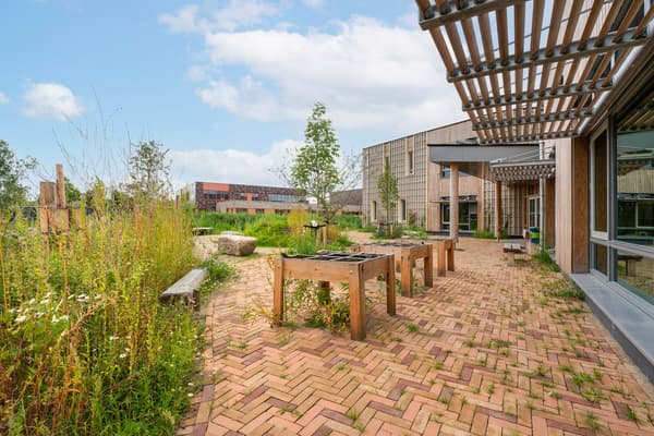 Architectural project - urban greenery, native plants, raised beds, low maintenance, green facade, sustainable landscape, eco garden, wooden pergola, brick pathway, herringbone bricks, timber benches, wood seating, planters, natural planting, meadow planting, biophilic, school garden, water conservation, native grasses, resilient design, daylit, natural materials, wood, timber, outdoor space, natural light, warm tones, community space, neutral tones, landscape architecture, architectural facade, eco friendly, timber construction, passive cooling, recreation area, blue sky, ecological design, stone, outdoor gathering, garden design, brick, sunny day, open air, biodiversity, educational space, green roof, living roof, outdoor learning, wildflowers