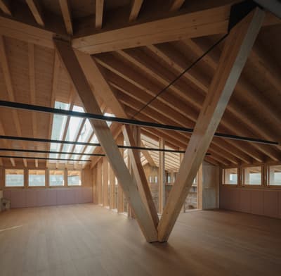 Architectural project - skylights, loft space, attic space, cozy attic, architectural design, sustainable materials, relaxed vibe, natural light, passive design, eco design, exposed structure, structural timber, daylight, beige, light wood, wooden beams, honey wood, timber beams, natural textures, rustic charm, contemporary design, Scandinavian style, minimalist style, neutral palette, calming environment, green architecture, clean lines, timber cladding, architectural details, energy efficient, timber interior, open plan, inviting space, earthy tones, warm atmosphere, pitched roof, residential design, spacious interior, nordic influence, wood flooring, brown tones, modern interior, wood interior