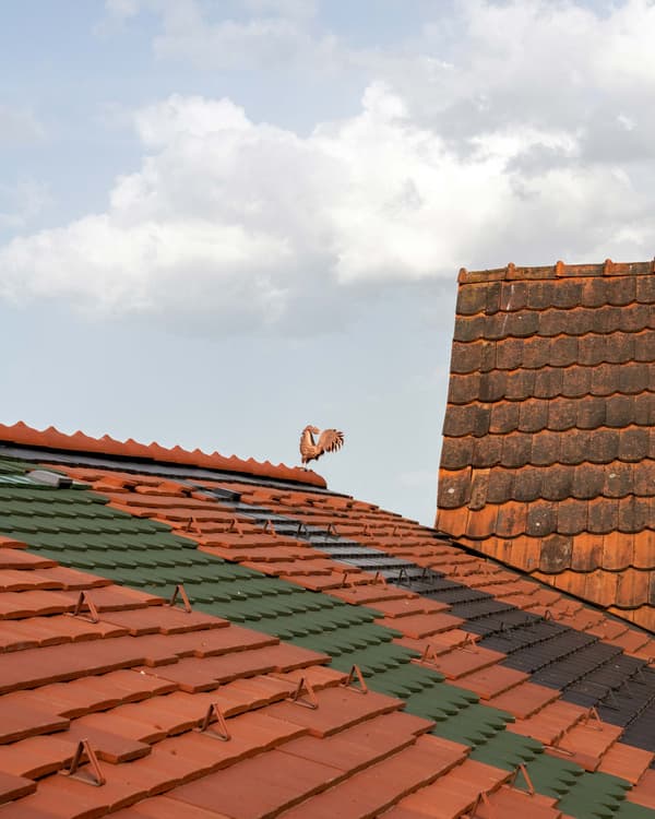 Architectural project - green accents, sky, clouds, cottage vibe, vintage style, tiled roof, exterior architecture, terracotta roof, traditional roof, roofscape, classic home, roof pattern, heritage style, European architecture, natural materials, eco-friendly design, sustainable materials, warm tones, roof design, natural setting, rustic roof, farmhouse style, eco materials, earthy tones, clay, pitched roof, rural style, traditional design, terracotta, outdoor architecture, countryside house, textured facade, sky view, facade texture, aerial view, clay tiles