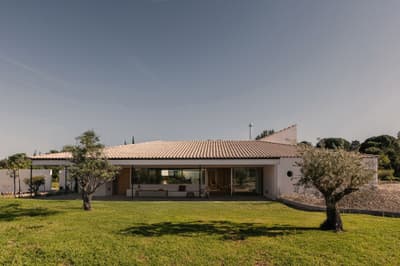 Architectural project - minimalist home, landscape, garden, modern villa, olive trees, masonry, single-story home, ceramic roof tiles, large patio, covered terrace, veranda, escape house, soft lines, expansive lawn, tree-lined, sandstone, natural materials, pastel tones, wood, timber, relaxed vibe, natural light, outdoor living, sustainable design, glass, outdoor area, grey, green, beige, daylight optimization, natural setting, exterior, open facade, natural landscape, passive house, white facade, large windows, white, eco friendly home, countryside home, energy efficient, plaster, beige tones, clay, pitched roof, Mediterranean style, warm climate, nature retreat, greenery, garden view, residential architecture, cozy exterior, vacation home, family home, modern home, seamless transition, green lawn, glass facade, warm materials, indoor outdoor flow, rural house, serene home, ceramic