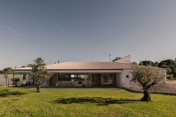 Architectural project - minimalist home, landscape, garden, modern villa, olive trees, masonry, single-story home, ceramic roof tiles, large patio, covered terrace, veranda, escape house, soft lines, expansive lawn, tree-lined, sandstone, natural materials, pastel tones, wood, timber, relaxed vibe, natural light, outdoor living, sustainable design, glass, outdoor area, grey, green, beige, daylight optimization, natural setting, exterior, open facade, natural landscape, passive house, white facade, large windows, white, eco friendly home, countryside home, energy efficient, plaster, beige tones, clay, pitched roof, Mediterranean style, warm climate, nature retreat, greenery, garden view, residential architecture, cozy exterior, vacation home, family home, modern home, seamless transition, green lawn, glass facade, warm materials, indoor outdoor flow, rural house, serene home, ceramic