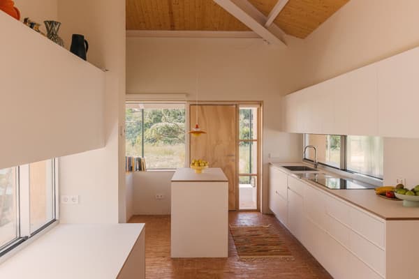 Architectural project - residential kitchen, nature-inspired design, built-in cabinets, compact layout, white kitchen, white cabinets, simple kitchen, basic shelves, sleek island, greenery views, homey kitchen, kitchen workspace, eco-friendly design, sustainable materials, wood, timber, natural light, warm tones, contemporary style, exposed beams, daylight, beige, modern design, Scandinavian influence, timber floor, neutral palette, wood floor, clean lines, large windows, white, Nordic style, timber ceiling, open shelves, inviting space, garden view, glass windows, minimalist kitchen, modern kitchen, kitchen island, bright space, wood ceiling, cozy home, small kitchen, functional kitchen, practical design, textured rug, indoor plants, colorful rug