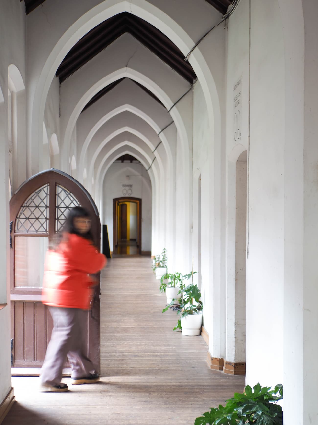 Architectural project - indoor greenery, cozy hallway, residential corridor, vintage vibe, transitional space, potted plants, welcoming entrance, historic building, arched hallway, wood details, classic design, classic style, archway, warm interior, architectural detail, wood, timber, warm tones, green, neutral tones, brown, serene atmosphere, timber floor, wooden floor, public space, white walls, white, inviting entrance, traditional architecture, corridor, calming vibe, indoor plants