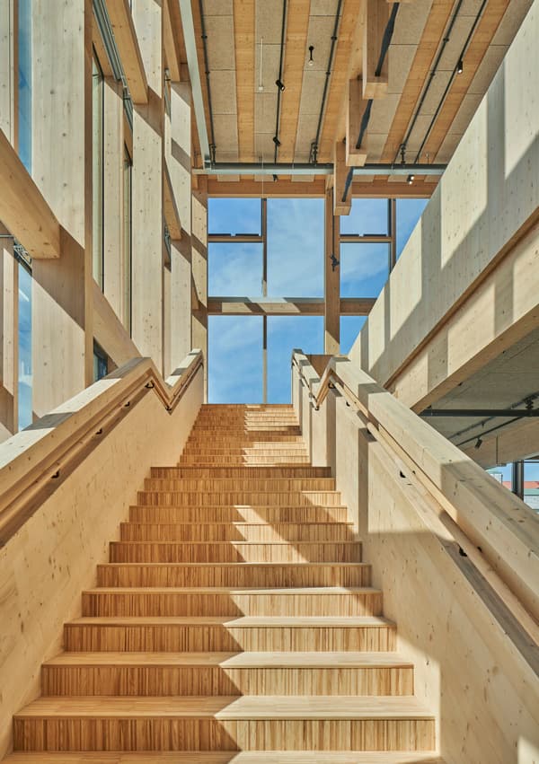 Architectural project - open ceiling, wooden steps, zen vibe, building interior, open staircase, natural materials, architectural detail, eco-friendly design, sustainable materials, wood, timber, raw materials, natural light, glass, warm tones, eco design, neutral tones, timber structure, exposed beams, daylight, beige, architectural elements, light wood, engineered wood, modern design, honey wood, natural textures, contemporary design, Scandinavian style, minimalist style, CLT, cross laminated timber, light filled, large windows, timber cladding, Nordic design, modern architecture, airy space, timber interior, open layout, open plan, inviting space, warm atmosphere, spacious interior, bright interior, bright space, wood ceiling, wooden staircase, glass facade, interior architecture, timber steps, structural rhythm, wood interior