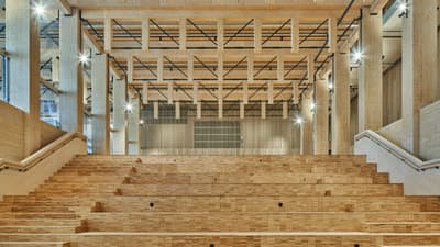 Architectural project - open ceiling, bright hall, ceiling lights, wooden steps, wood building, amphitheater, stepped seating, natural materials, wood, timber, raw materials, sustainable design, warm tones, eco design, neutral tones, exposed beams, daylight, plywood, industrial vibe, gathering space, beige, brown, golden, engineered wood, sunlight, industrial touch, neutral palette, social space, public space, timber building, timber panels, timber walls, wood panels, CLT, cross laminated timber, Nordic design, wood walls, timber interior, open plan, inviting space, green design, Scandinavian design, wood ceiling, open space, high ceiling, double height, structural rhythm, wood interior